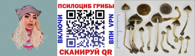 Псилоцибиновые грибы Psilocybe  OMG рабочий сайт  Энгельс 