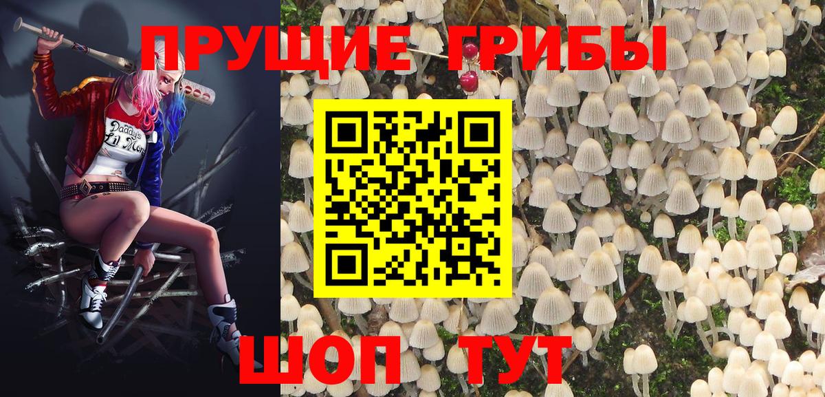 Энгельс  Галлюциногенные грибы GOLDEN TEACHER  Вход с VPN 