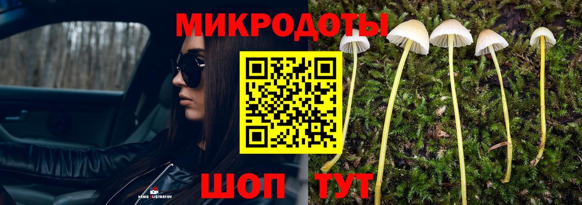 Энгельс  ГАШ  Вход с VPN  Меф кристаллы  Гашиш  МАРИХУАНА 