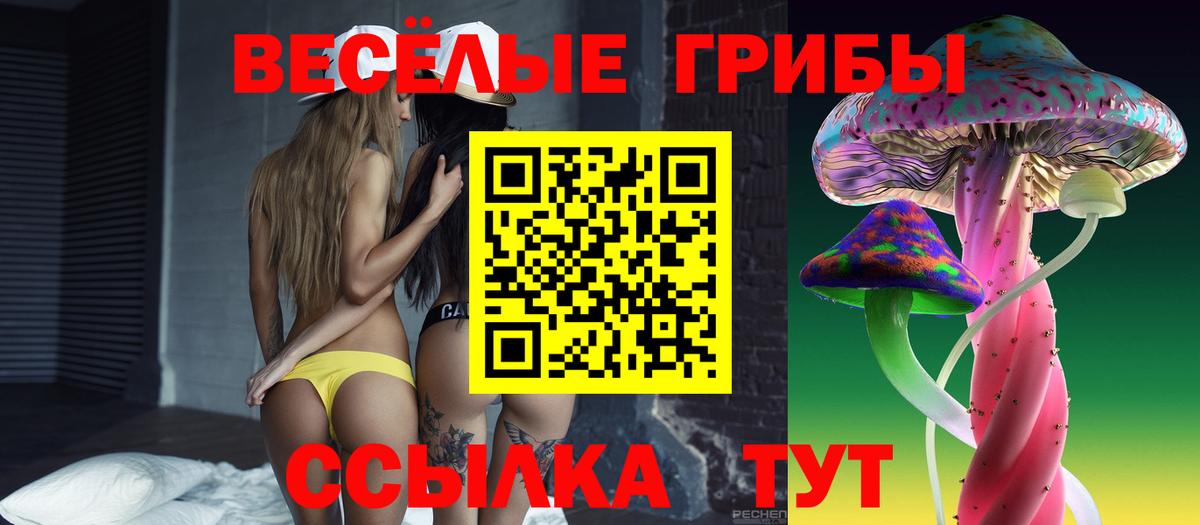 Галлюциногенные грибы мицелий Энгельс